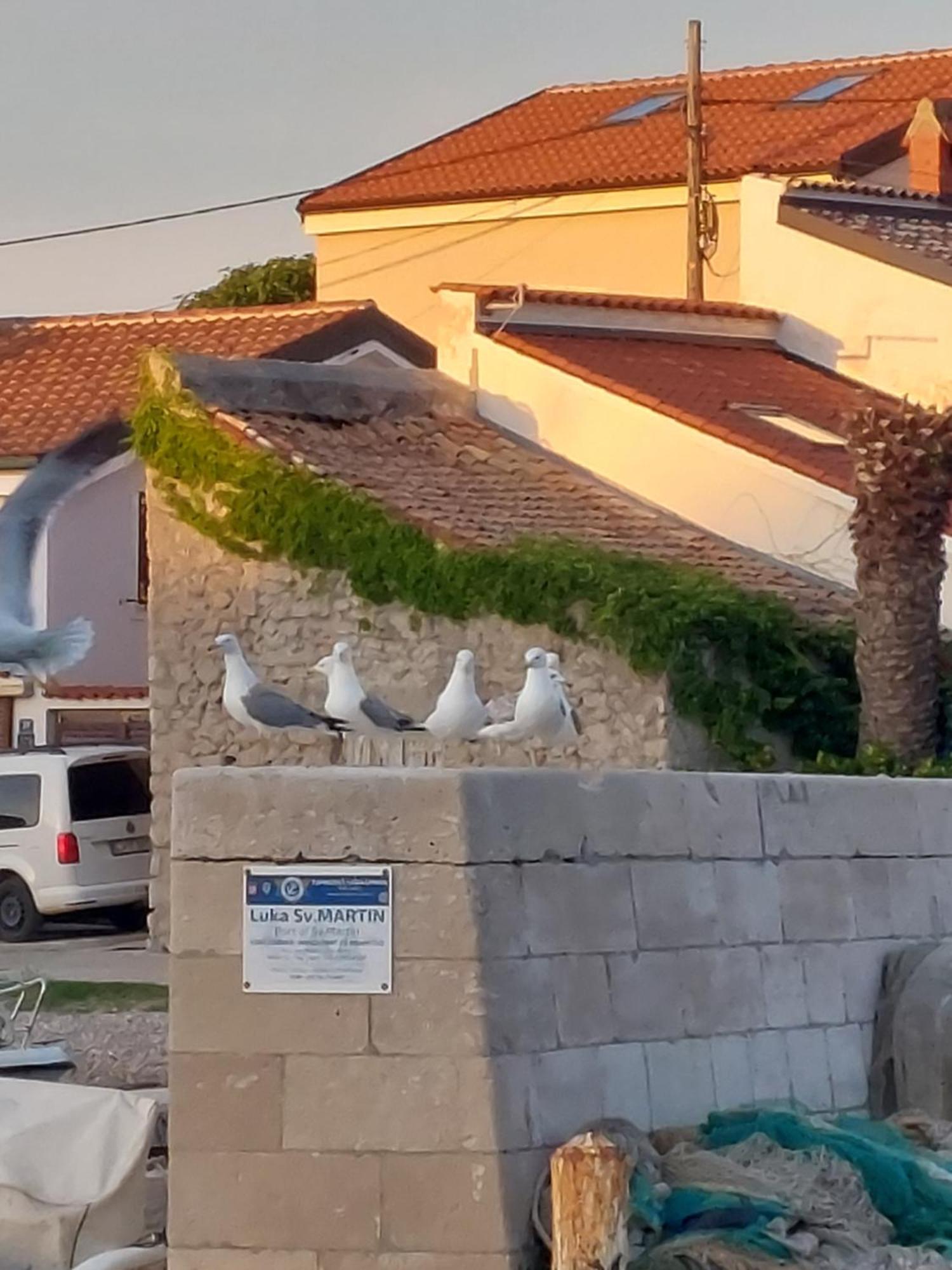 Apartments Suncica Mali Losinj Bagian luar foto