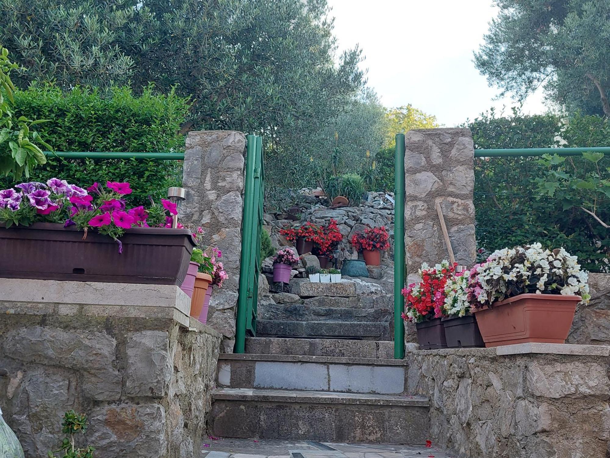 Apartments Suncica Mali Losinj Bagian luar foto