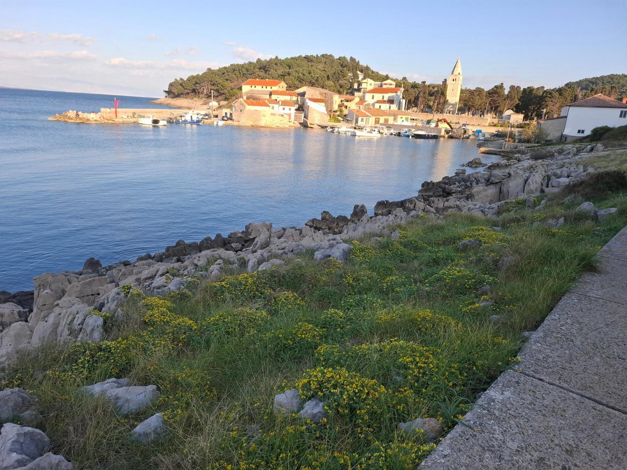 Apartments Suncica Mali Losinj Bagian luar foto